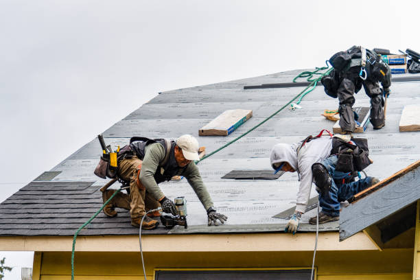 Professional Gutter Installation technician working in Thompson, IA